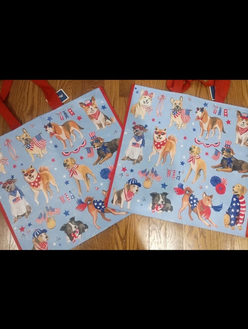 Homegoods TJMaxx Marshalls Patritic Print Shopper Tote Bags Set of 2 NWOT